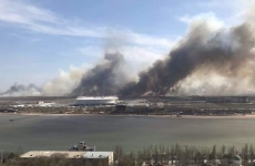 В окрестностях "Ростов Арены" бушует ландшафтный пожар